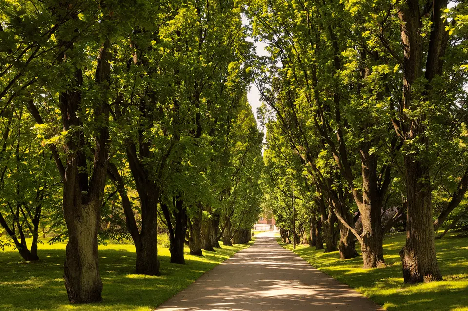 Local Expertise for the Western Communities — View Royal, BC